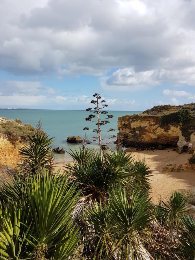 Apartamento Marina' Smile Lagos